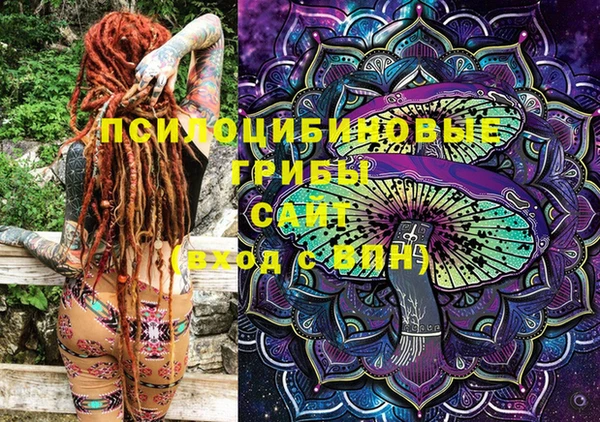 амф Бронницы
