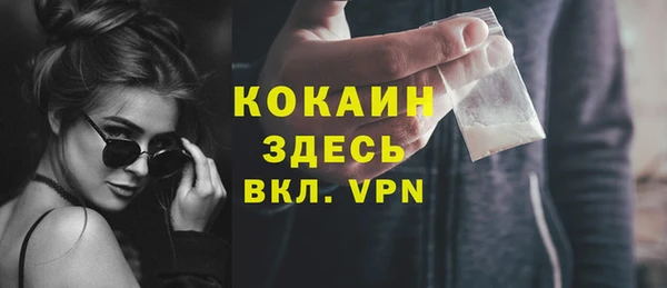 прущие грибы Сосновый Бор