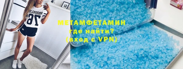 прущие грибы Сосновый Бор