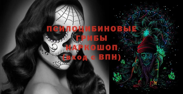 трава Бородино