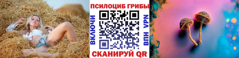 Галлюциногенные грибы мухоморы  Вельск 